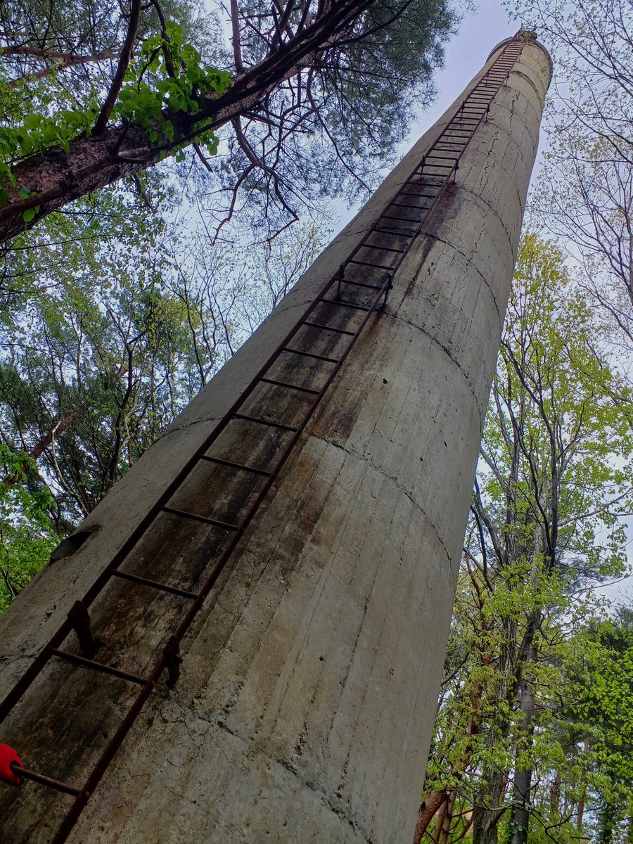 mokmok204's tweet image. 林道の先にあった物。
古代遺跡のような鉱山施設跡。