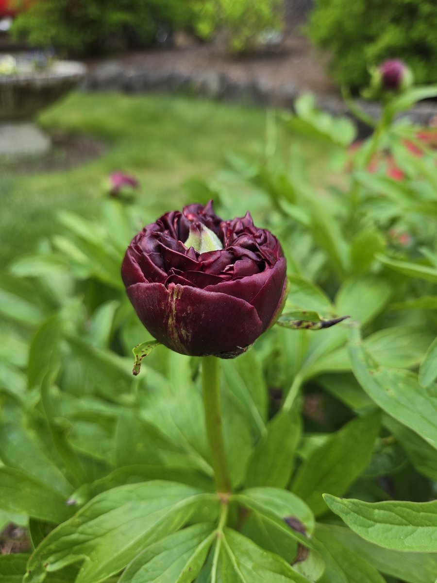 En los clasicos de cosas que a nadie le importan... jajaja Hoy sentí que llegué a la cama del Everest con tantas cosas que hice!!! 😃 Orgullosa de mi misma!!!
#Innpowerment