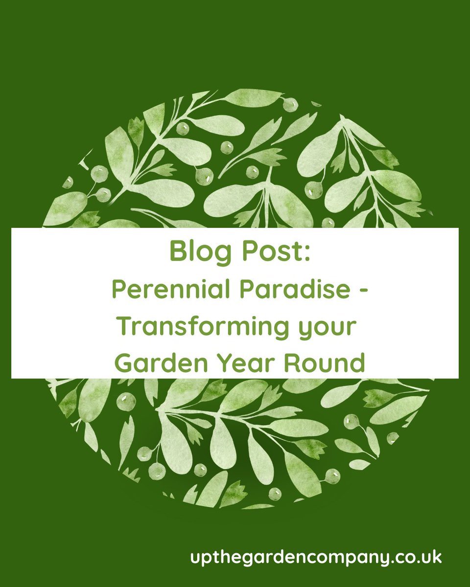 UpTheGardenCo's tweet photo. The Magic of Perennials
Imagine a garden that blooms beautifully all year long, with minimal effort &amp; maximum reward.
Cont'd: https://t.co/J0lLavNoVR
#perennials #plants #garden #gardens #gardenblogs #gardenlove #gardenknowledge #gardentips #gardenplants #gardenersworld https://t.co/obHOAT3nfy