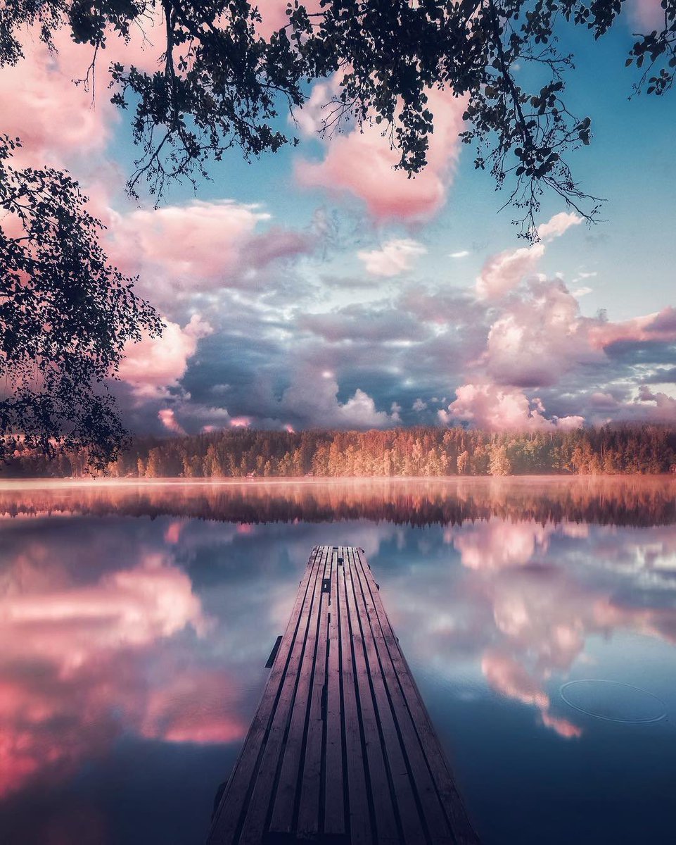 𝐏𝐚𝐫𝐚𝐝𝐢𝐬𝐞 (@__p1_m1) on Twitter photo 