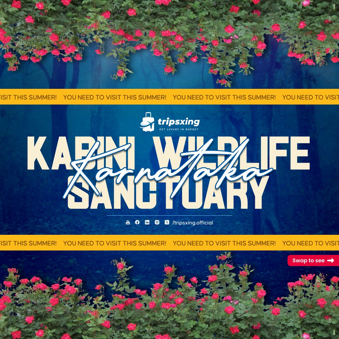 tripsxing_'s tweet photo. Feel the thrill of spotting elephants and leopards in their natural habitat at Kabini Wildlife Sanctuary. 🌿 This serene and lush sanctuary is perfect for a summer adventure that blends nature, wildlife, and tranquility. 🦁

#Tripsxing #KabiniWildlife #WildlifeSanctuary #Nature https://t.co/W0t1bR0kpt