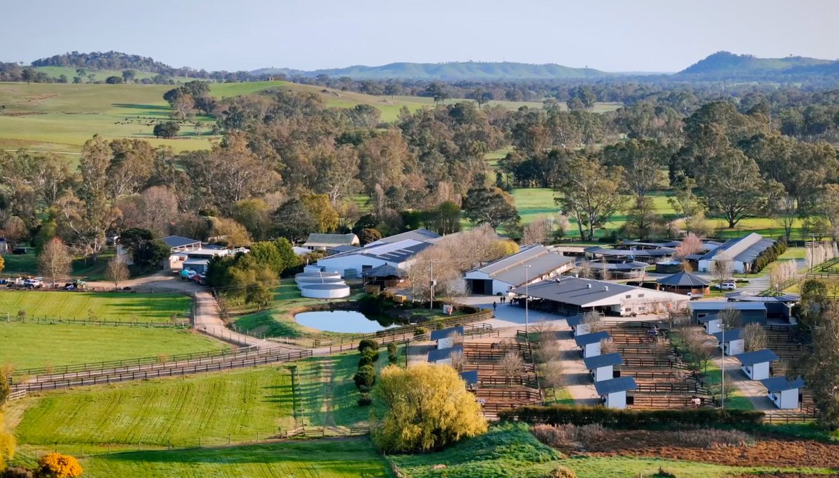 Tour our worldclass facilities at Lindsay Park Euroa!
In support of the MRC Foundation we have donated a Charity Tour of our Euroa property for 8 people. Enjoy a behind the scenes experience at our private training facility followed by brunch in the boardroom. An experience