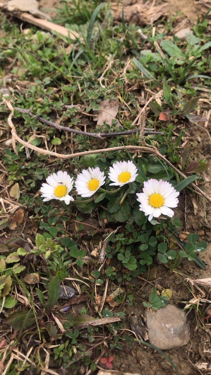 Mayıs ayına geldik
 Ne kışlıkları kaldırabiliyoruz
 Ne yazlıkları çıkara biliyoruz dolaplarda bizim gibi çok karışık ....🤦‍♀️😜😂

    06/05/2025
         #Salı 
  #HayırlıSabahlar ❣️