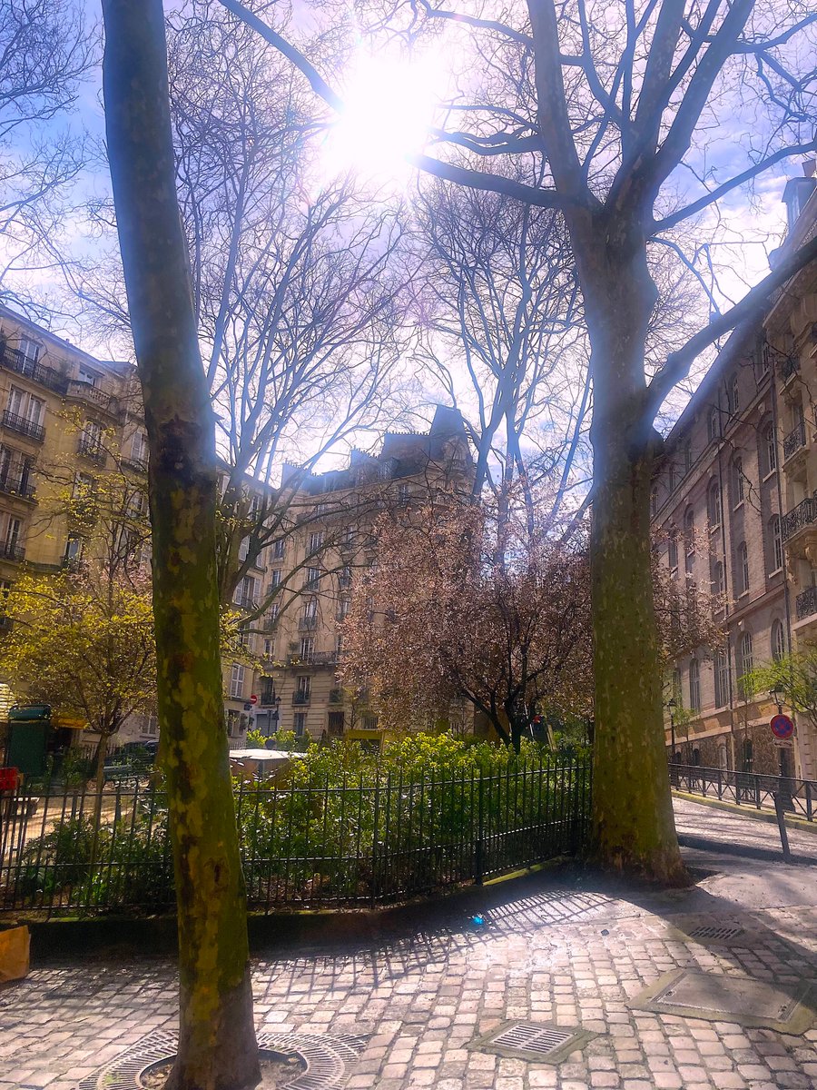 focusonparis's tweet photo. Treeful Tuesday: tranquility on a #Montmartre square. #springtimeinparis #cobbledstreets #photography https://t.co/920nIX7D7b