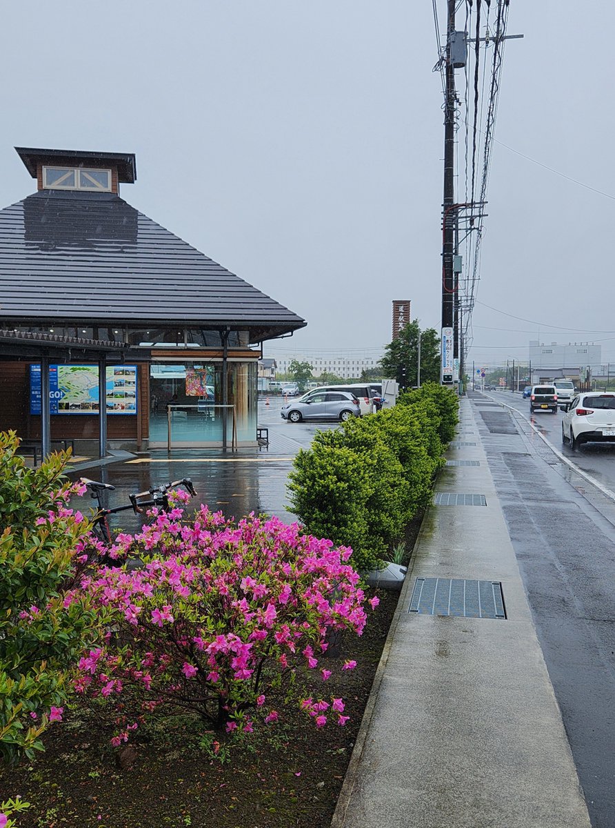 unagiPost's tweet image. 自転車で納品（雨）連休中品薄でご迷惑をおかけしました

#道の駅足柄