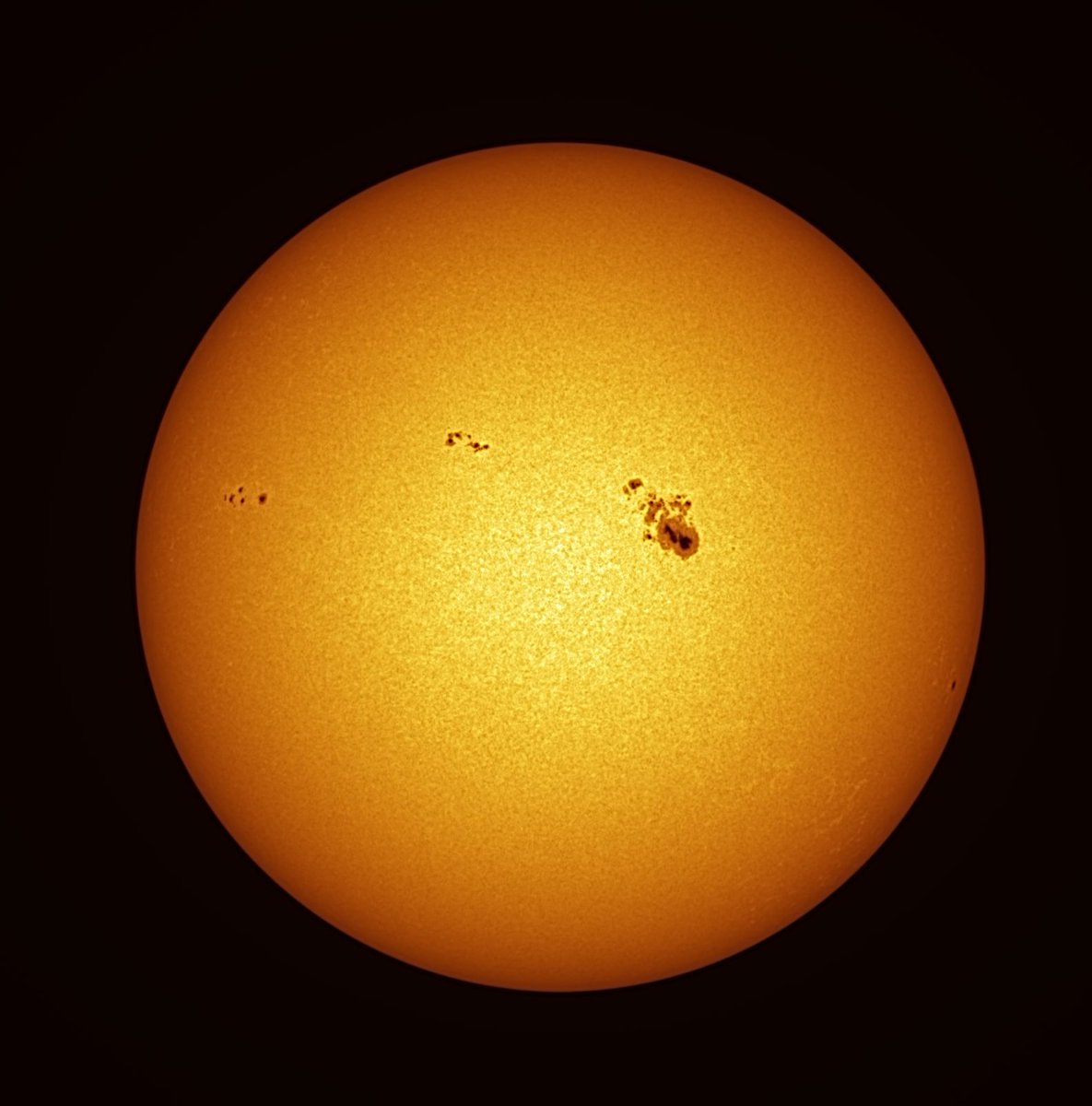 Sol 125, White light , AR 4079 is beautiful. 
Stellarvue SVX080T 3sv
QHYCCD 268m