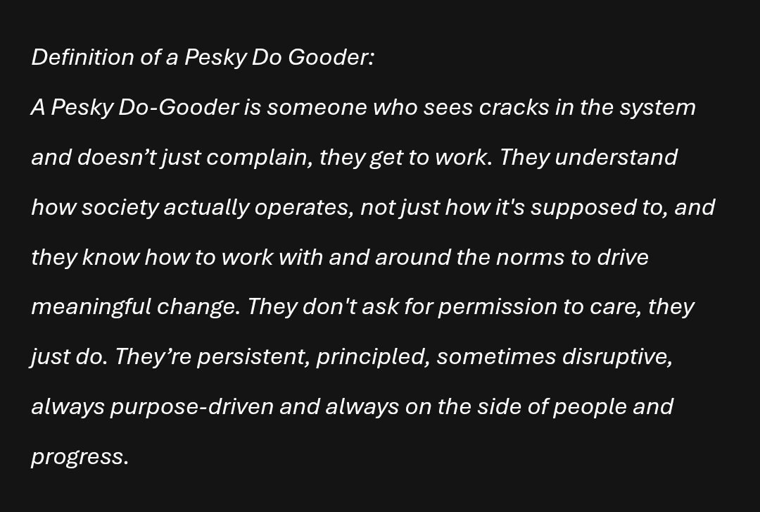 What is a Pesky Do-Gooder?

They're the ones who don’t just point out what’s broken. They fix it.

They care enough to act, not just comment.

They don’t wait for permission. They build.

You might be one. You might know one. Maybe you are one?!

#ProgressOverProblems #Purpose