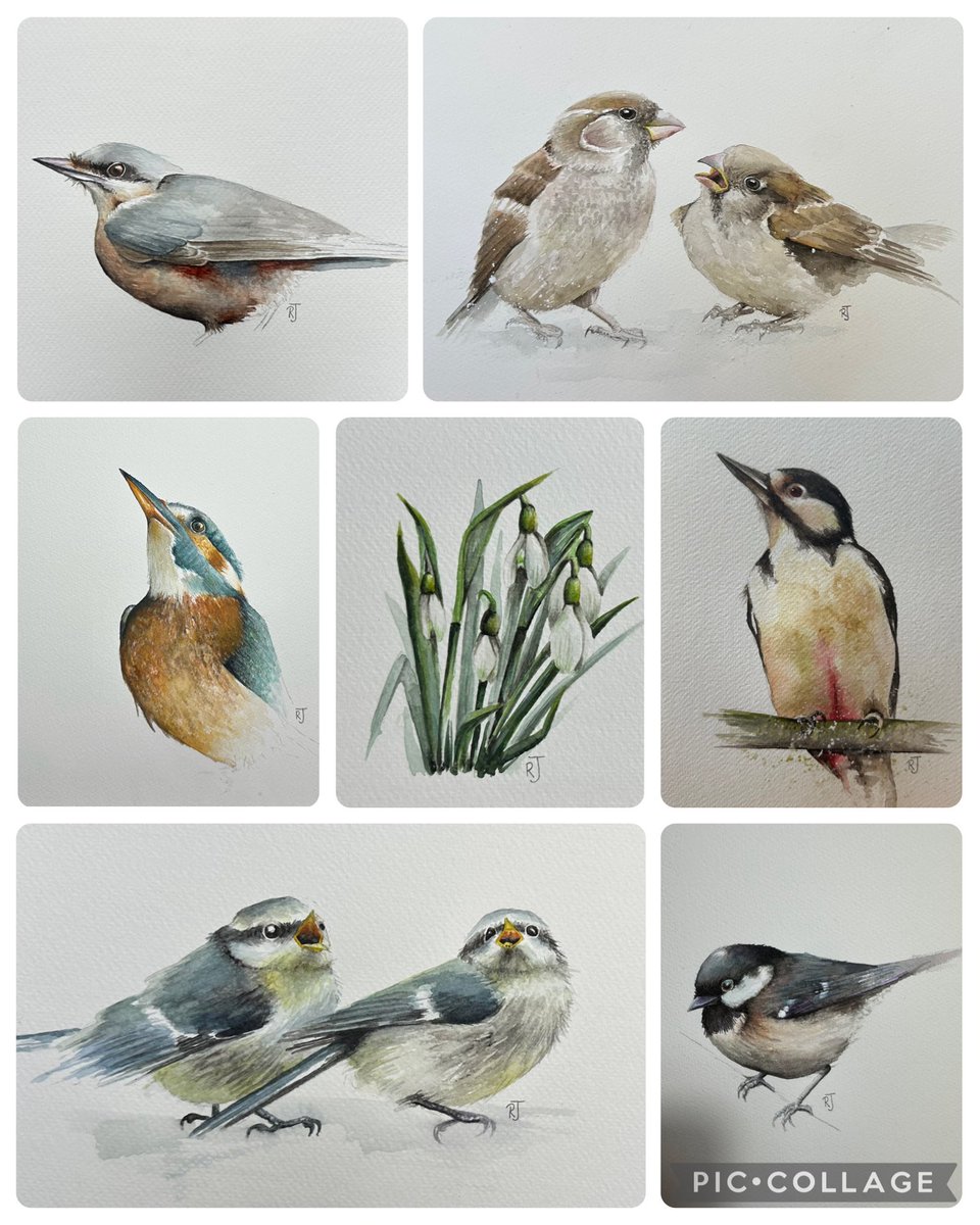 As you know I’m incredibly self critical. These are some I’m pleased with: