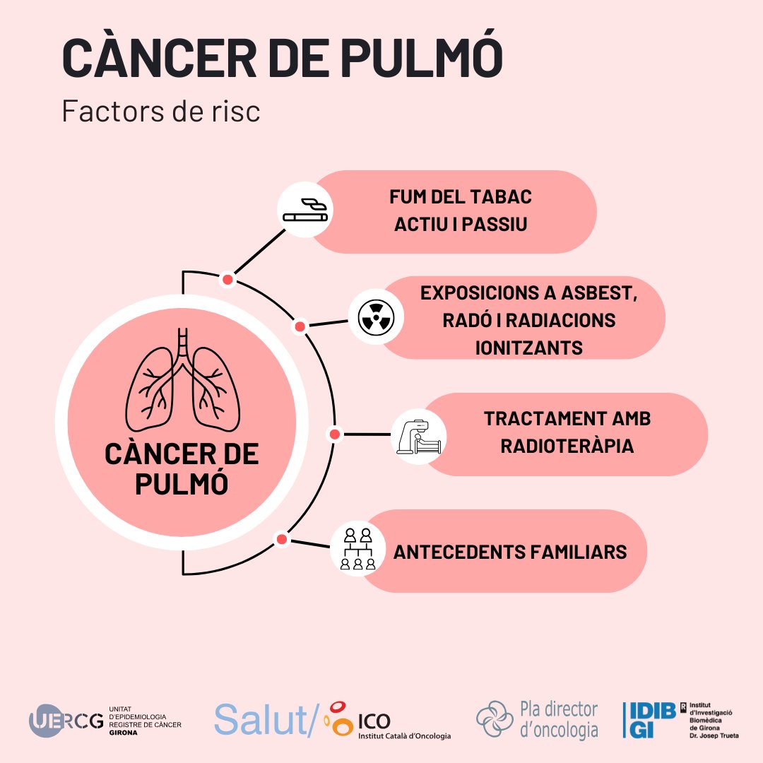 El consum de tabac és el principal factor de risc del càncer de pulmó. En coneixes d'altres?