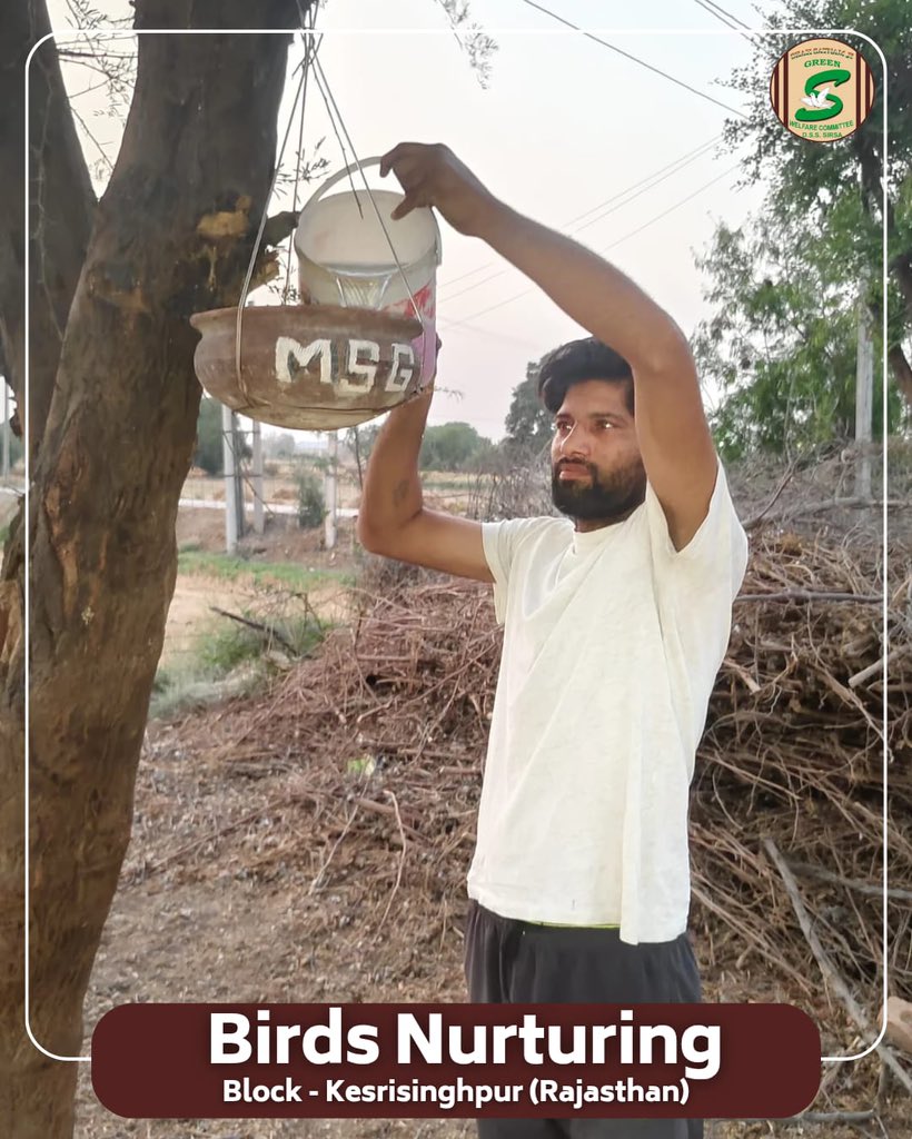 GreenSwelfares's tweet photo. 🌞 Even the smallest act of kindness can cool the fiercest heat. 

In this scorching summer, the compassionate volunteers of Shah Satnam Ji Green ‘S’ Welfare Committee  have stepped forward to keep water💧and feed for little birds, offering them relief from the unbearable heat.

Inspired by the teachings of Saint Dr Gurmeet Ram Rahim Singh Ji Insan, these volunteers continue to spread love and care—not just to humans, but to every living being.

#SaveBirds #BirdsNurturing #SummerCare