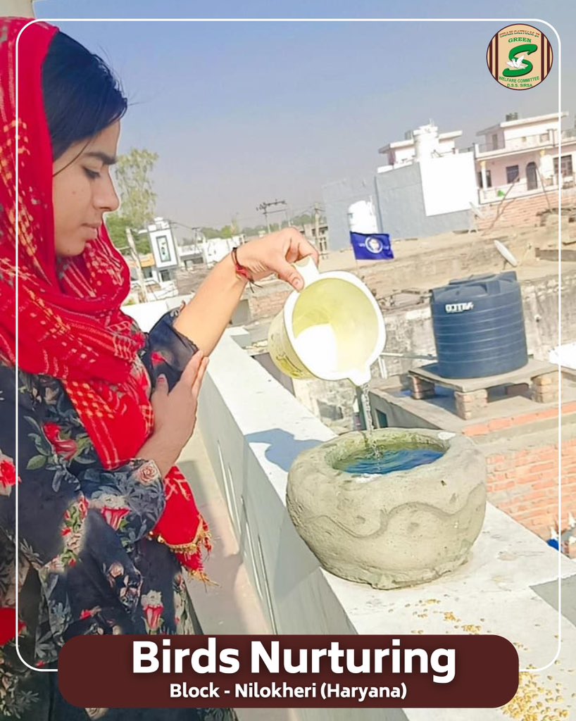 GreenSwelfares's tweet photo. 🌞 Even the smallest act of kindness can cool the fiercest heat. 

In this scorching summer, the compassionate volunteers of Shah Satnam Ji Green ‘S’ Welfare Committee  have stepped forward to keep water💧and feed for little birds, offering them relief from the unbearable heat.

Inspired by the teachings of Saint Dr Gurmeet Ram Rahim Singh Ji Insan, these volunteers continue to spread love and care—not just to humans, but to every living being.

#SaveBirds #BirdsNurturing #SummerCare