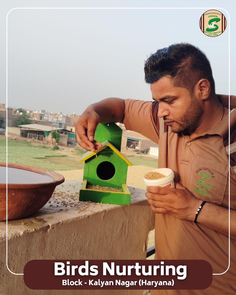 GreenSwelfares's tweet photo. 🌞 Even the smallest act of kindness can cool the fiercest heat. 

In this scorching summer, the compassionate volunteers of Shah Satnam Ji Green ‘S’ Welfare Committee  have stepped forward to keep water💧and feed for little birds, offering them relief from the unbearable heat.

Inspired by the teachings of Saint Dr Gurmeet Ram Rahim Singh Ji Insan, these volunteers continue to spread love and care—not just to humans, but to every living being.

#SaveBirds #BirdsNurturing #SummerCare