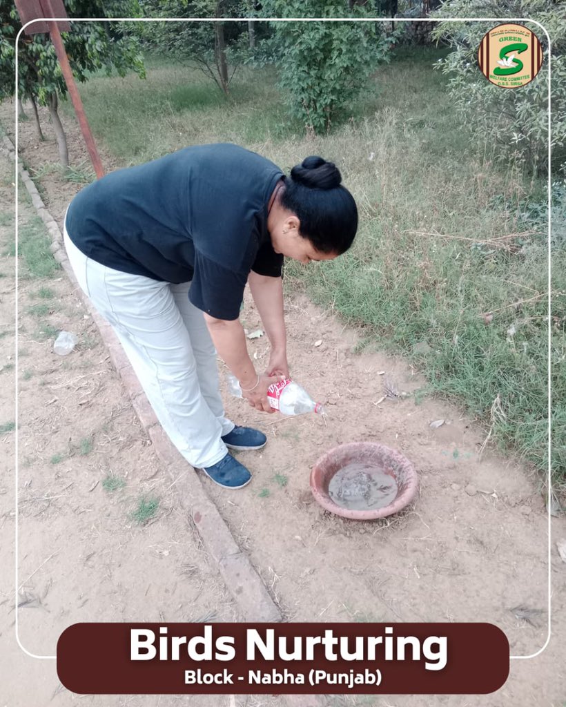 GreenSwelfares's tweet photo. 🌞 Even the smallest act of kindness can cool the fiercest heat. 

In this scorching summer, the compassionate volunteers of Shah Satnam Ji Green ‘S’ Welfare Committee  have stepped forward to keep water💧and feed for little birds, offering them relief from the unbearable heat.

Inspired by the teachings of Saint Dr Gurmeet Ram Rahim Singh Ji Insan, these volunteers continue to spread love and care—not just to humans, but to every living being.

#SaveBirds #BirdsNurturing #SummerCare