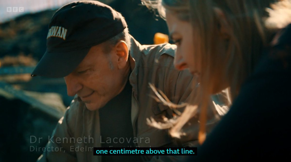 RegTheDude's tweet image. The K-Pg boundary... every dinosaur fossil ever found was below or at this line. Every trace of humanity and other apes is found well above it. No exceptions, right across the planet. Stop lying to people, and especially children.