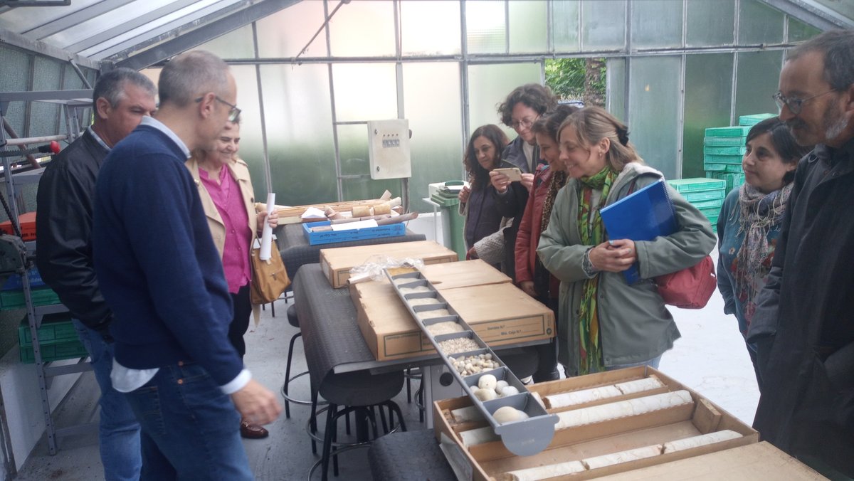 asturias4steam (@asturias4steam) on Twitter photo 🔨🏔️🌋Algunas imágenes de la primera sesión del curso de formación de profesorado "Geología aplicada a la Ingeniería" en el fantástico edificio de <a href="/geologiaoviedo/">Geologia - Universidad de Oviedo</a>. El miércoles a por la siguiente!! CC: <a href="/CPROviedo/">CPR_Oviedo</a> 🔨🏔️🌋Algunas imágenes de la primera sesión del curso de formación de profesorado "Geología aplicada a la Ingeniería" en el fantástico edificio de <a href="/geologiaoviedo/">Geologia - Universidad de Oviedo</a>. El miércoles a por la siguiente!! CC: <a href="/CPROviedo/">CPR_Oviedo</a>