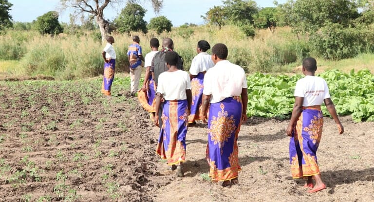 🌟 A young mother transformed her life after joining a Local Savings &amp; Support Group. With support from Team Hope, she secured food for her 4 children &amp; invested in irrigation for year-round crops.   teamhope.ie/blog/vsla-mala…