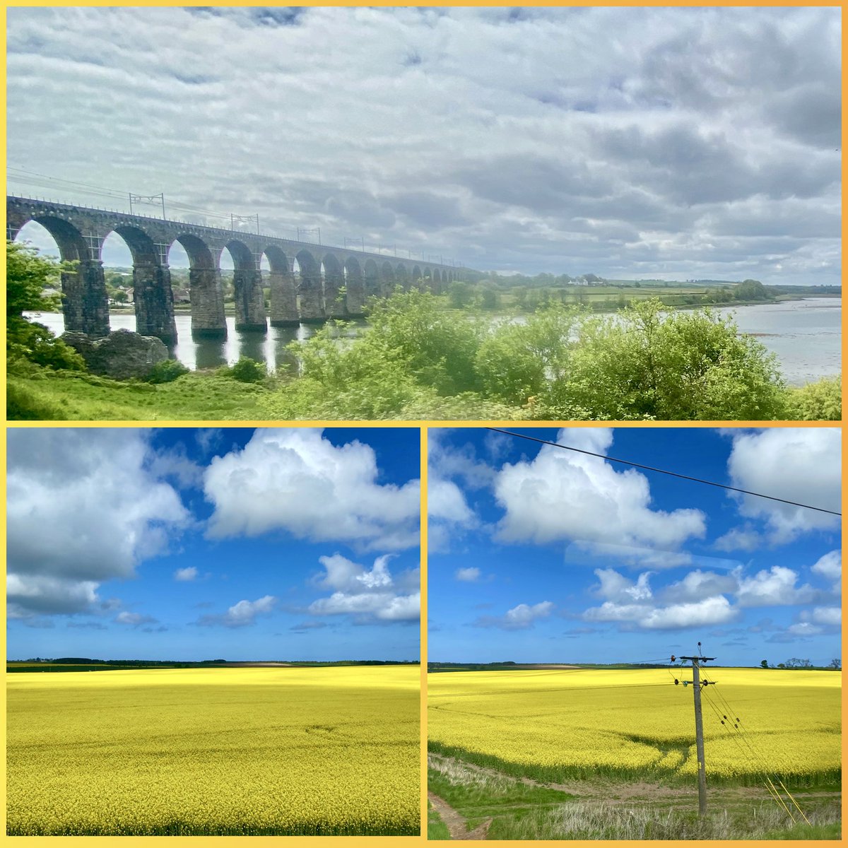 JudeMckerrecher's tweet image. After Dumfries, the area where dad was born, I visited him in Berwick where my mum, sister &amp;amp; I were born. Though sad to see dad’s worsening condition due to Progressive Supranuclear Palsy, I had a quiet walk by the river. Grateful for nature’s #tinymomentsofjoy🫶🙏#preciouslife🪷