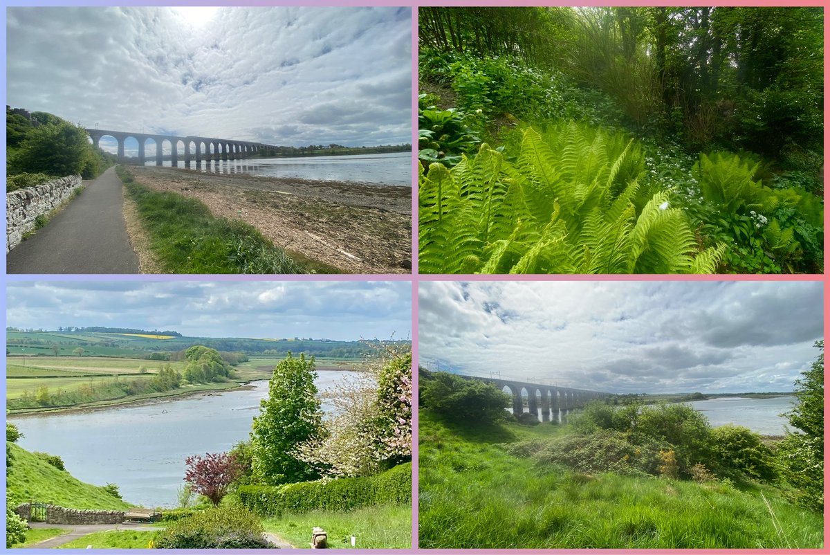 JudeMckerrecher's tweet image. After Dumfries, the area where dad was born, I visited him in Berwick where my mum, sister &amp;amp; I were born. Though sad to see dad’s worsening condition due to Progressive Supranuclear Palsy, I had a quiet walk by the river. Grateful for nature’s #tinymomentsofjoy🫶🙏#preciouslife🪷