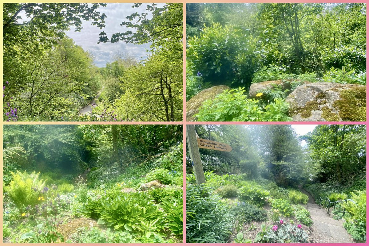 JudeMckerrecher's tweet image. After Dumfries, the area where dad was born, I visited him in Berwick where my mum, sister &amp;amp; I were born. Though sad to see dad’s worsening condition due to Progressive Supranuclear Palsy, I had a quiet walk by the river. Grateful for nature’s #tinymomentsofjoy🫶🙏#preciouslife🪷