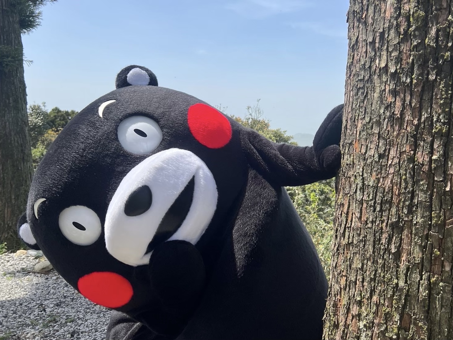 くまモン【公式】 (@55_kumamon) / X