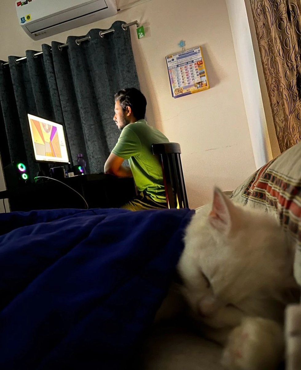 PunchingCat's tweet image. 