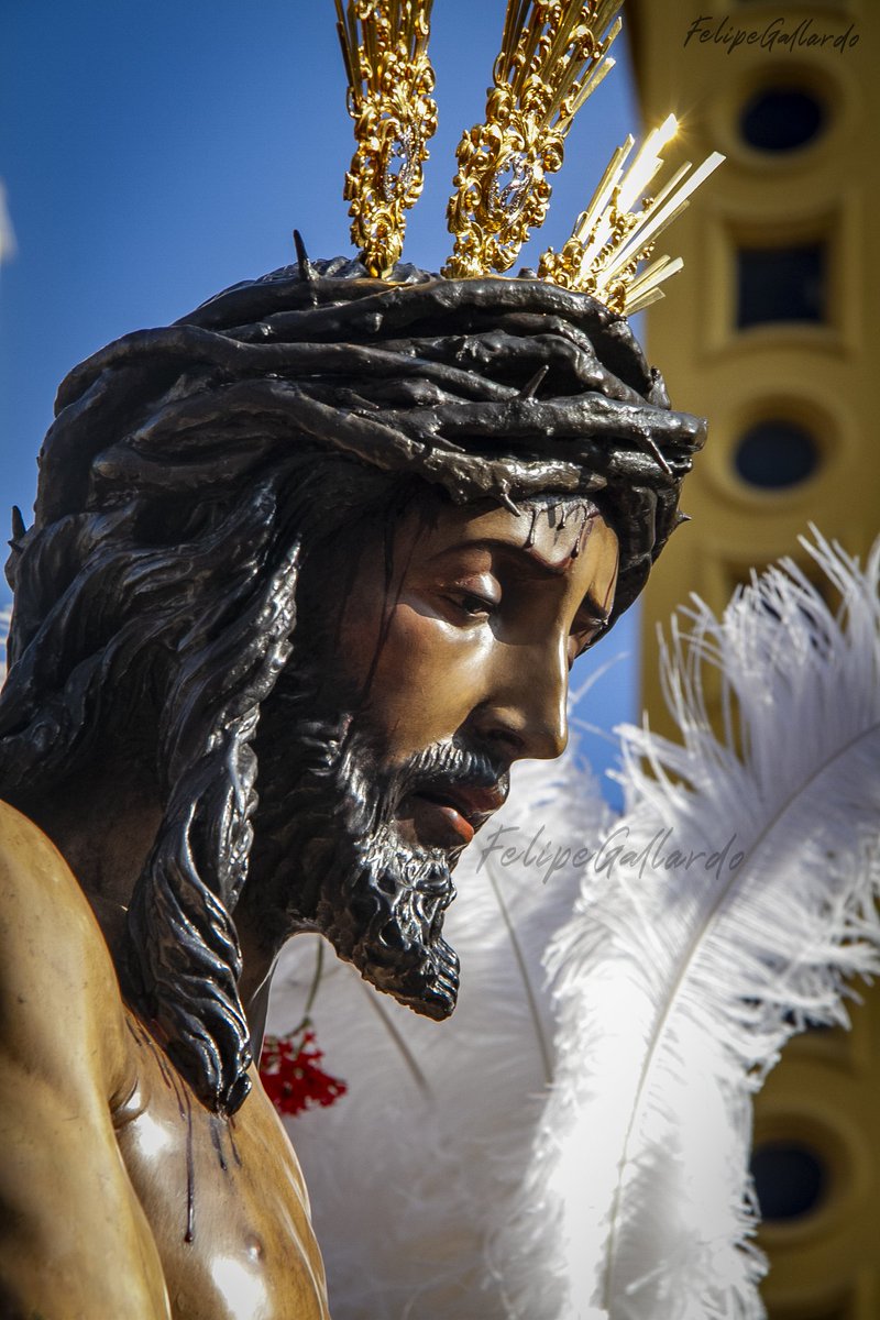 Mi Cristo de la Judea Sevillana,
El de la mirada cansada,
El de la mirada más humana,
El reo de la vieja calzada,

El dios de mis rezos,
El  del semblante humano,
Al que sus manos yo beso,
A mí cautivo del poder soberano.