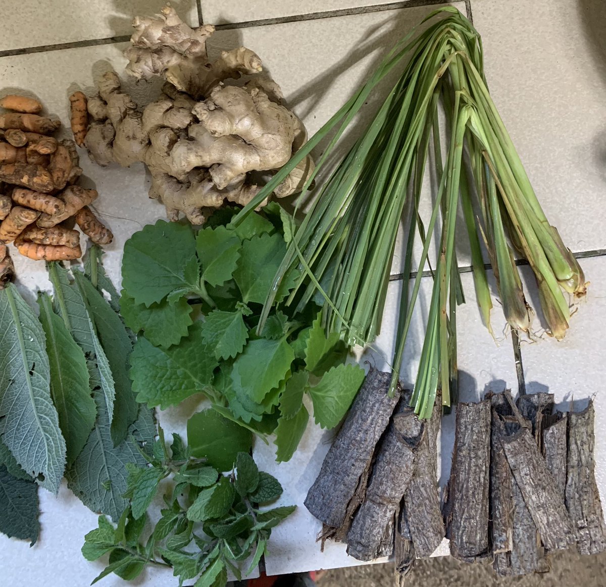 Forget synthetic drugs. Natural herbs are free and 💯 effective. Boil these herbs together. Drink the concoction 2x a day, morning and afternoon. Make this as part of everyday life.