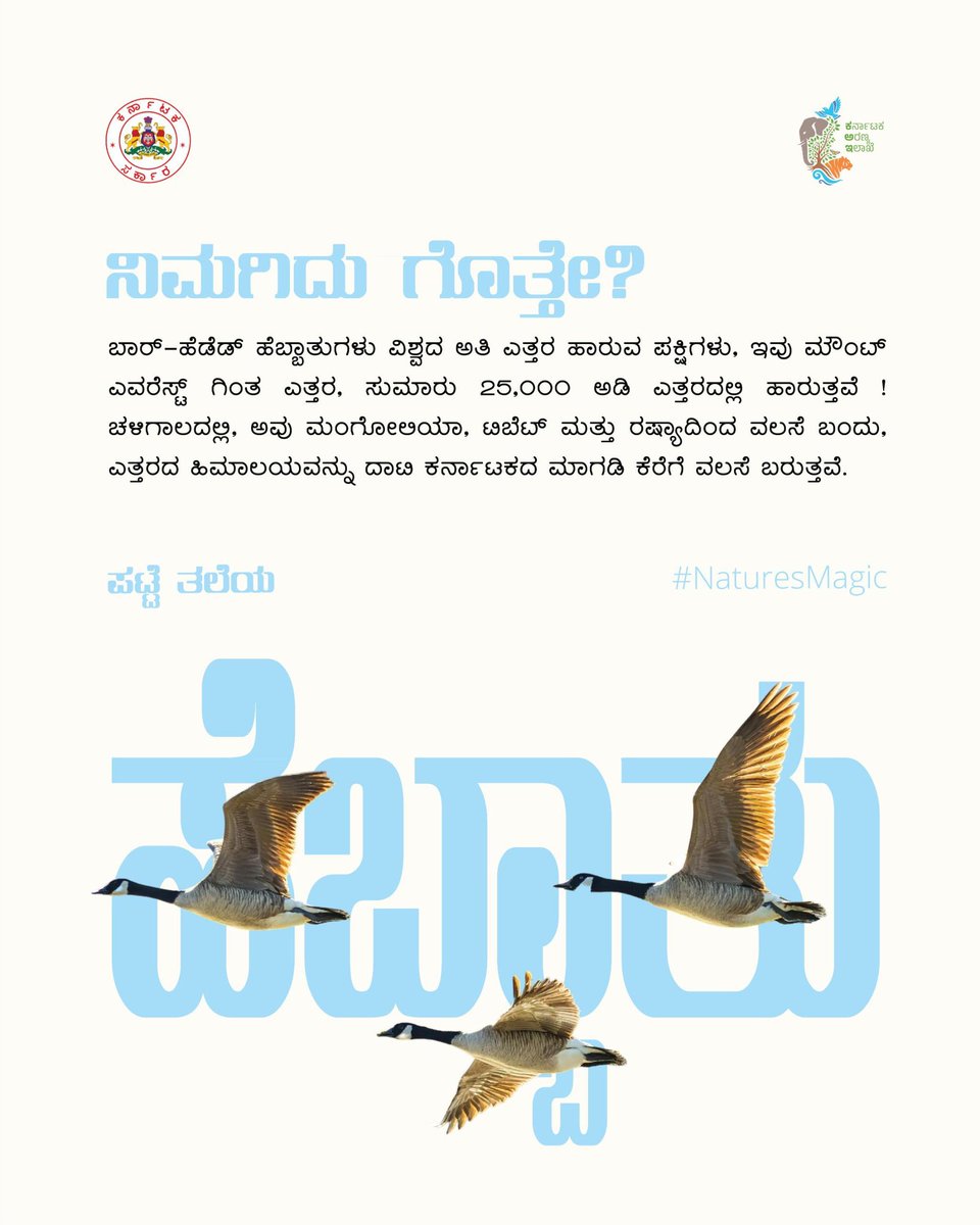 aranya_kfd's tweet photo. ಪಟ್ಟೆ ತಲೆಯ ಹೆಬ್ಬಾತು ಪಕ್ಷಿಗಳ ಈ ವೈಶಿಷ್ಟ್ಯತೆಯ ಬಗ್ಗೆ ನಿಮಗೆ ತಿಳಿದಿದೆಯೇ ? ತಿಳಿಯಲು ಓದಿರಿ
Did you the special capability of Bar Headed Geese? Read to know more.
#snail #kfdfunfact #kfdfunfactseries #barheadedgeese https://t.co/SeH8GQh9Qy