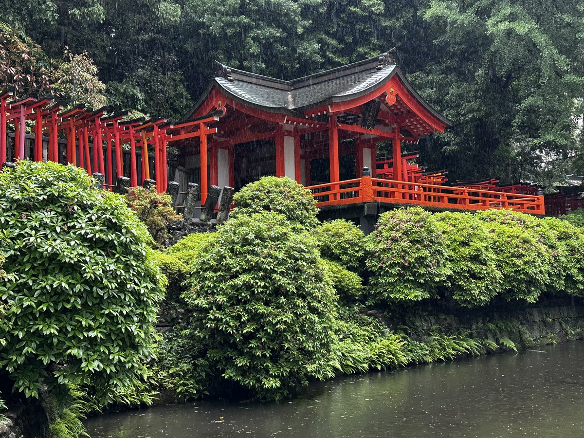 stormdoctor's tweet image. The #Nezu Shrine was adorned with rain today...and this only enhanced the beauty. Japan is truly a land of stunning respect for nature and the gods