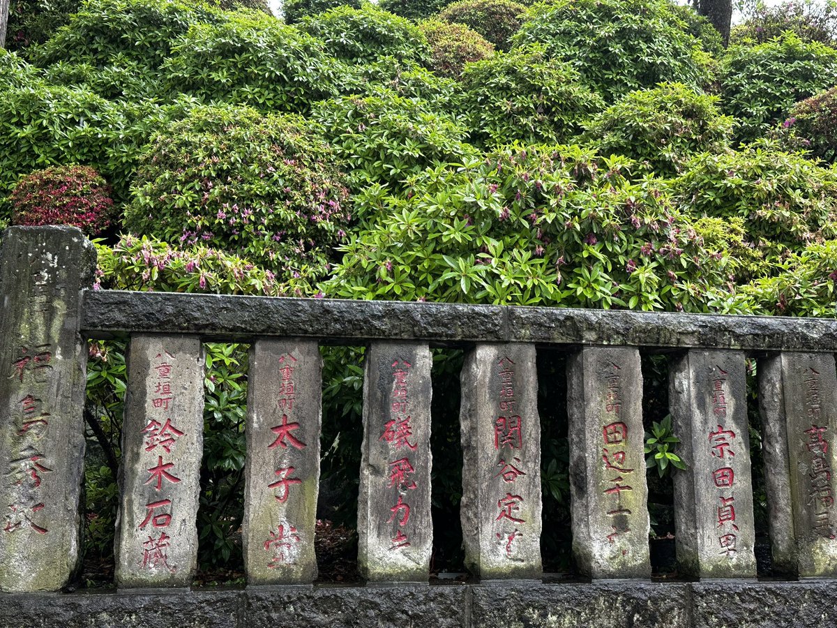 stormdoctor's tweet image. The #Nezu Shrine was adorned with rain today...and this only enhanced the beauty. Japan is truly a land of stunning respect for nature and the gods