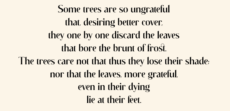 This is not about trees or its leaves

सोढप्रौढहिमक्लमानि शनकैः पत्राण्यधो कुर्वते
संभाव्यच्छदवाञ्छयैव तरवः केचित् कृतघ्नव्रताः।
नामन्यन्त तदातनीमपि निजच्छायाक्षतिं तैः पुनस्
तेषामेव तले कृतज्ञचरितैः शुष्यद्भिरप्यास्यते॥

-  acalasiṃha

Translation by Daniel H. H. Ingalls