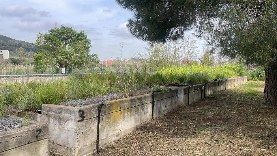 Laboratory of Viruses Contaminants of Water & Food tweet media