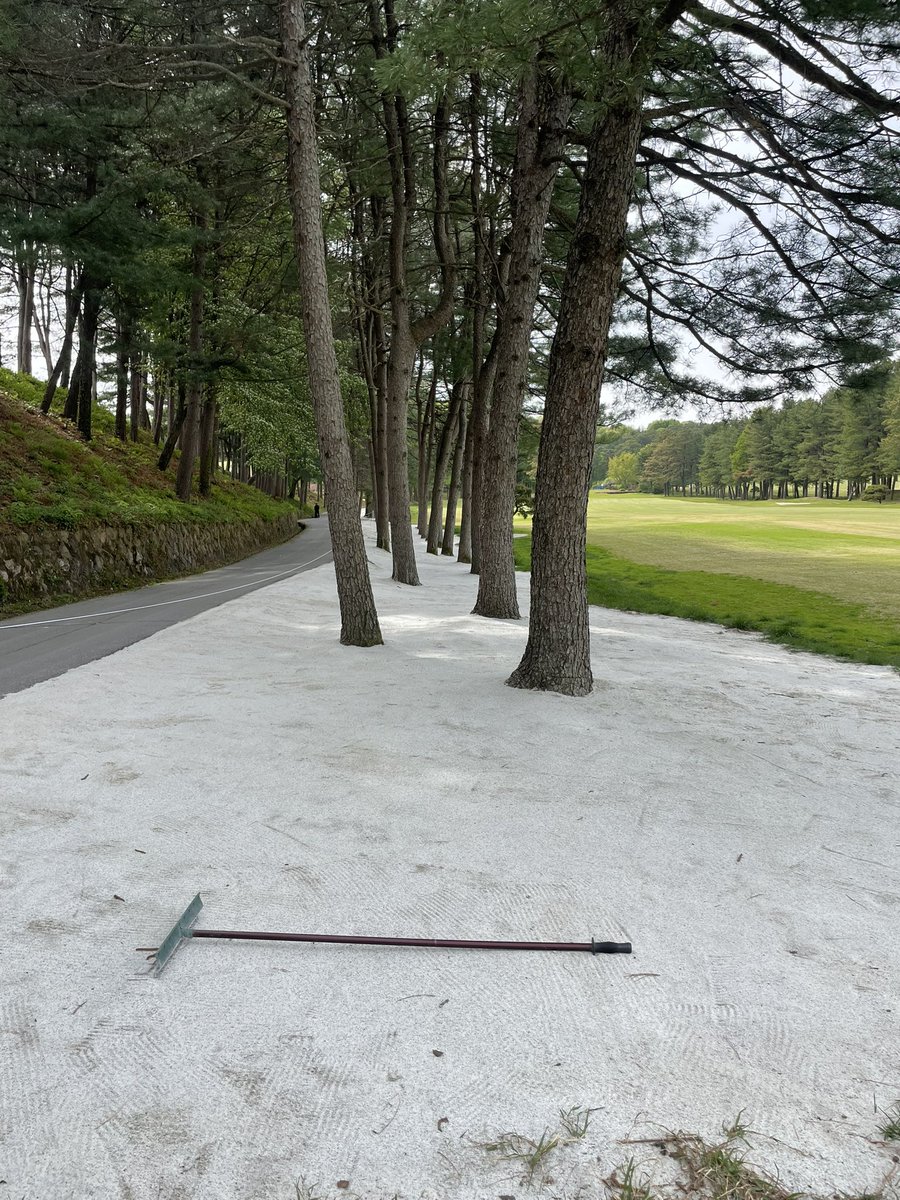 When your game is so bad, you can’t decide between the trees or the bunker

📍 New Korea CC