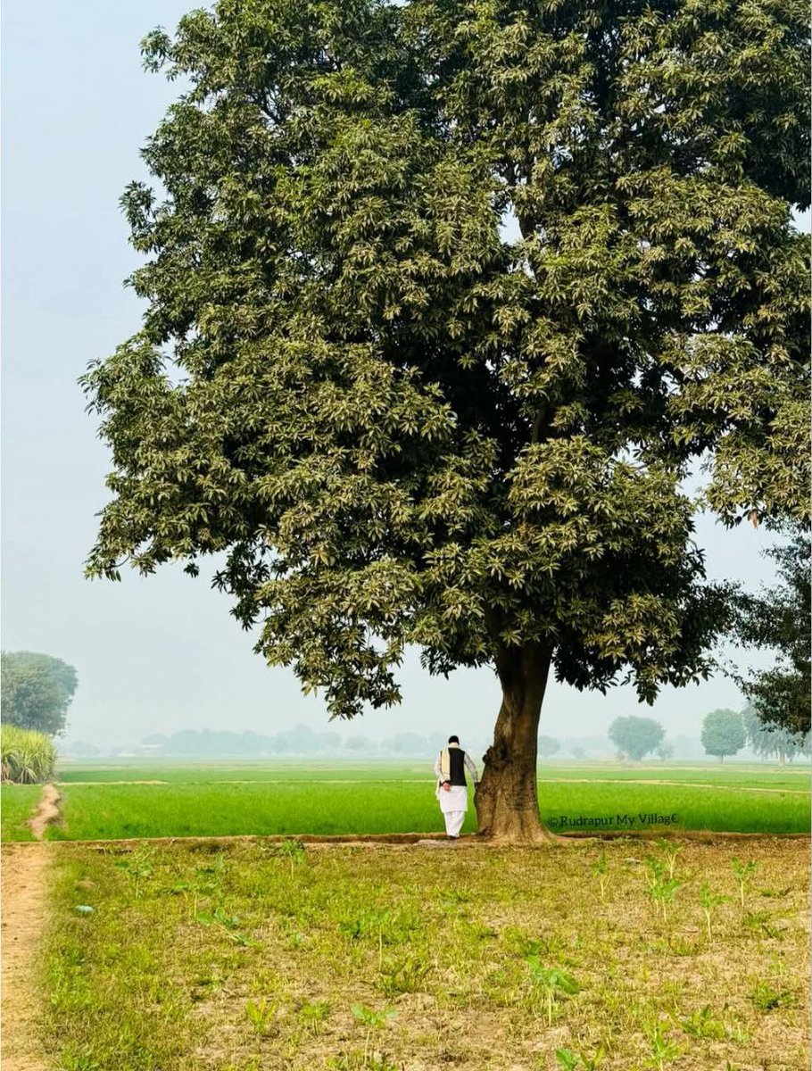 Dream32995332's tweet photo. सफर के मजे लो
मंजिल तो सबकी मौत है 

#jindagi https://t.co/tJ4I54QJW7