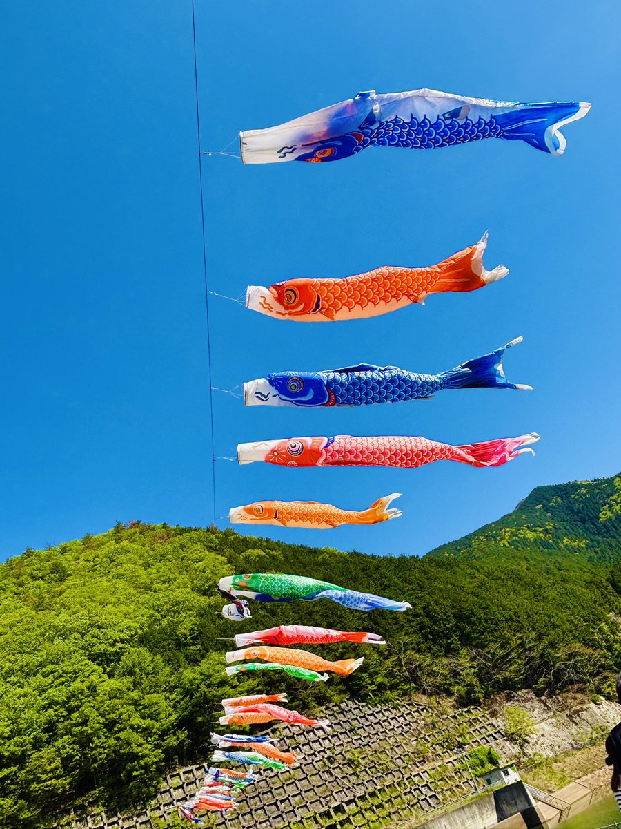 Ut74SDcPm725252's tweet image. 5月5日 子供の日🎏
とても青空がきれいな日(*´˘`*)
子連れも多く笑顔も多い日
ほっこりしました。
花の香りにつられ
🐝も元気いっぱいꉂ🤭
バイト上がりで寝ないで移動したけど
私も元気いっぱい🌸*・
#藤棚
#白井大町藤公園
#私の大切な宝者へ
#写真で伝えたい私の世界
#iPhone越しの私の世界