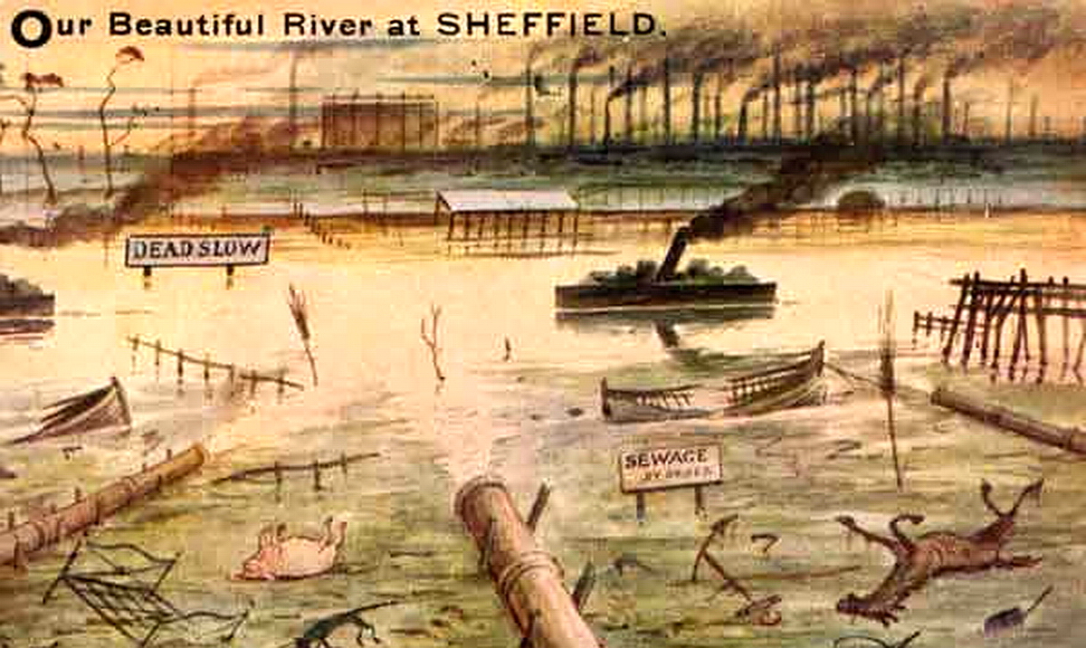 Alastair Wright tweet media