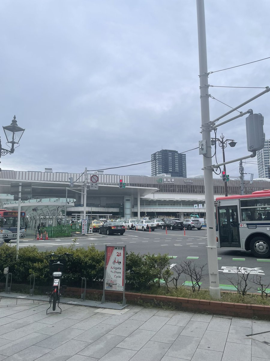 帰ってきました