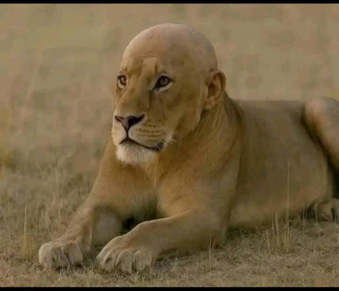 Ve Kurumlar Vergisi öyle ya da böyle biter...
.
.
.
<a href="/MuhasebeBT/">Muhasebe Bilenler</a>