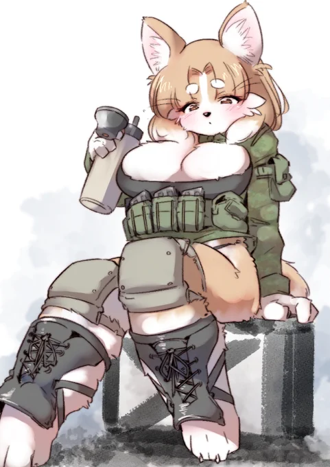 水分補給するコーギー 