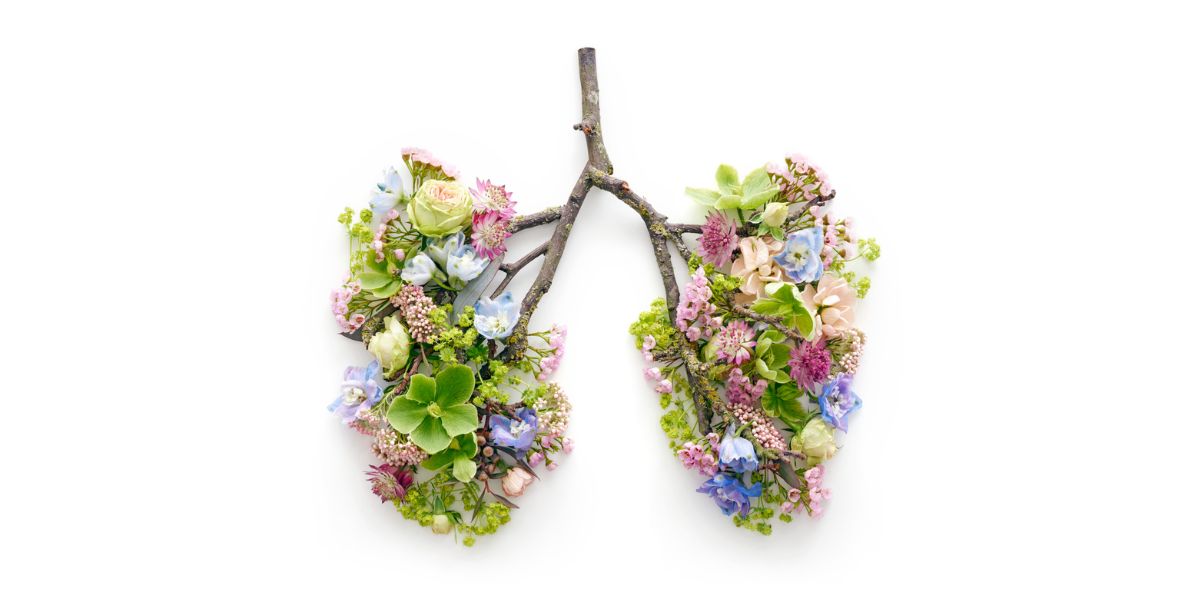 🫁 This World Asthma Day (6 May), let's remember that 450,000 annual deaths are largely preventable with proper access to inhaled treatments. Explore our resources at physio-pedia.com to enhance your asthma management skills. #WorldAsthmaDay #AsthmaAccessForAll