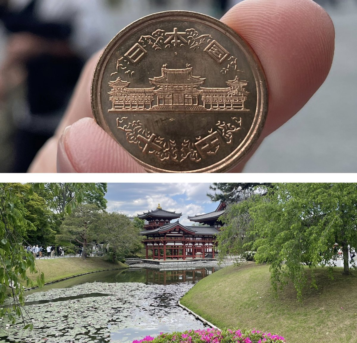 clairdelunechat's tweet photo. 飛び石連休、平日は大学院。日本語学校はお休みでしたが疲れが溜まっています。母の誕生日会などマストがあり、そしてChatGPT や動画編集、音声編集ソフトを使いこなそうと腰を据えた日々でした。気分転換？に訪れた平等院は人がたくさん。京阪電車の中、私だけ日本人？という感じでした。 https://t.co/2yb0PwrQju