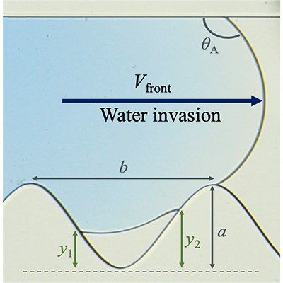 📢 PRFluids Editors' suggestion: How does oil get trapped in microscale pores during water invasion? McBride et al. show that higher oil viscosity and water speed cause more trapping, due to a transition from meniscus displacement to viscous fingering.
🔗 go.aps.org/4lXHp61