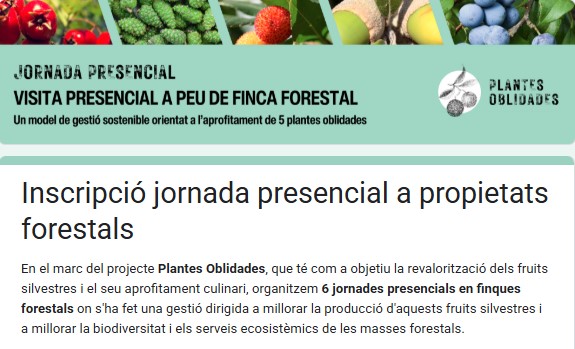 📢 Jornades presencials a propietats forestals dins el projecte #PlantesOblidades 📝
🌿 Descobreix com revaloritzar els #FruitsSilvestres i millorar la #Biodiversitat i els #ServeisEcosistèmics. 🌳🍇
🗓️ Diverses dates disponibles
🔗 Inscriu-te ara: f.mtr.cool/rusjytttfj