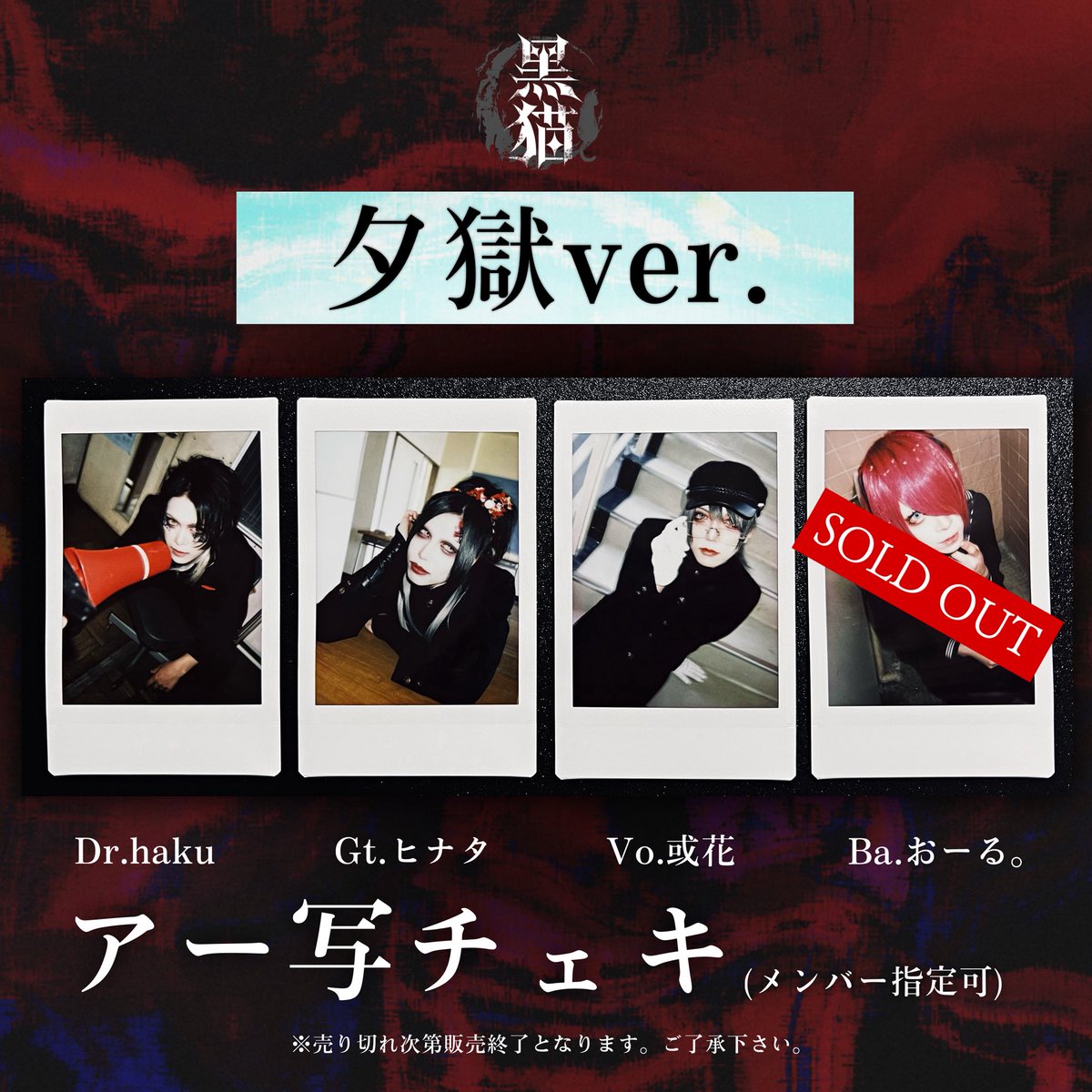 黒百合と影 烏名鳴 哀 チェキ 10枚セット gulu gulu 哀 黒百合と影 烏名鳴 メメントモリ 哀 チェキ1