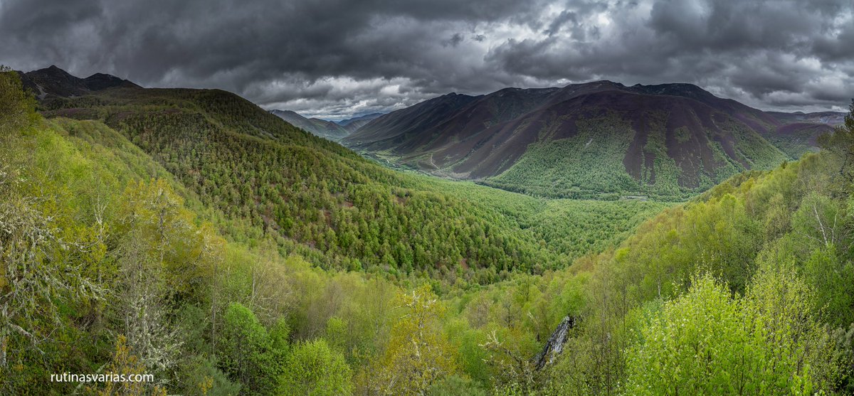 rutinasvarias.com tweet media