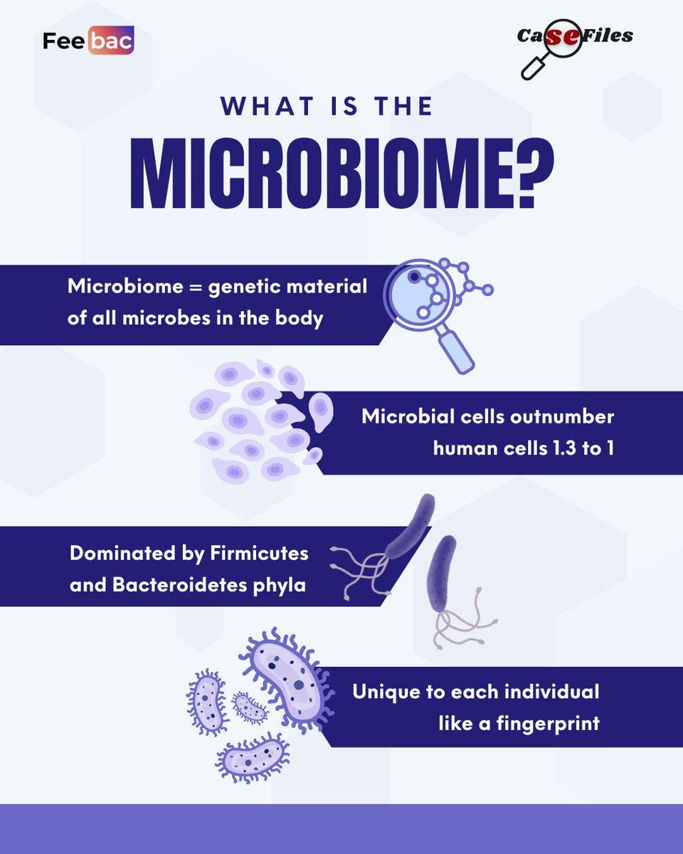 feebac_media's tweet image. 🦠CaseFile Drop | The Human Microbiome: Your Inner Ecosystem🔬
You’re not just human—you’re home to trillions of microbes shaping your health, brain, and immunity.
This week’s CaseFile explores:
🔹What is the microbiome?
🔹Gut health = full-body wellness
#FeebacCaseFile 
(1/3)