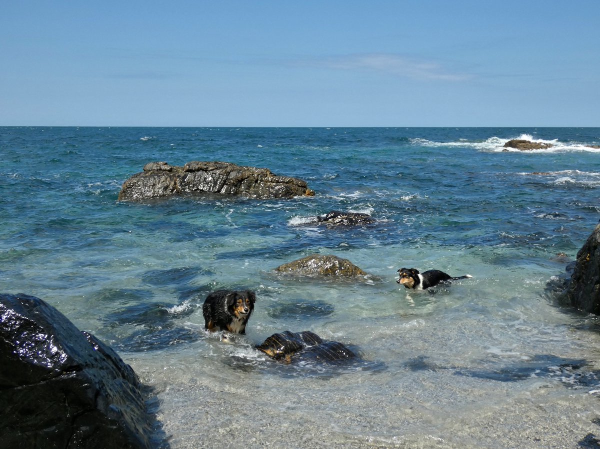 colour palette 🩵 #cornishblue