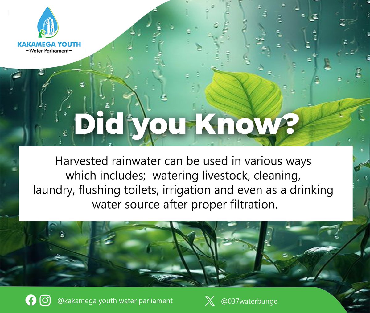 Kakamega Youth Water Parliament (@037waterbunge) on Twitter photo Do you collect rainwater? How well do you use the water?
#DYKCampaign
#DidYouKnow
<a href="/KEWASNET/">KEWASNET</a> <a href="/_KWAHO/">Kenya Water For Health Organization(KWAHO)</a> <a href="/MOWSI_KE/">Ministry of Water, Sanitation and Irrigation</a> <a href="/Kacwasco/">Kakamega County Water & Sanitation Company</a> Do you collect rainwater? How well do you use the water?
#DYKCampaign
#DidYouKnow
<a href="/KEWASNET/">KEWASNET</a> <a href="/_KWAHO/">Kenya Water For Health Organization(KWAHO)</a> <a href="/MOWSI_KE/">Ministry of Water, Sanitation and Irrigation</a> <a href="/Kacwasco/">Kakamega County Water & Sanitation Company</a>