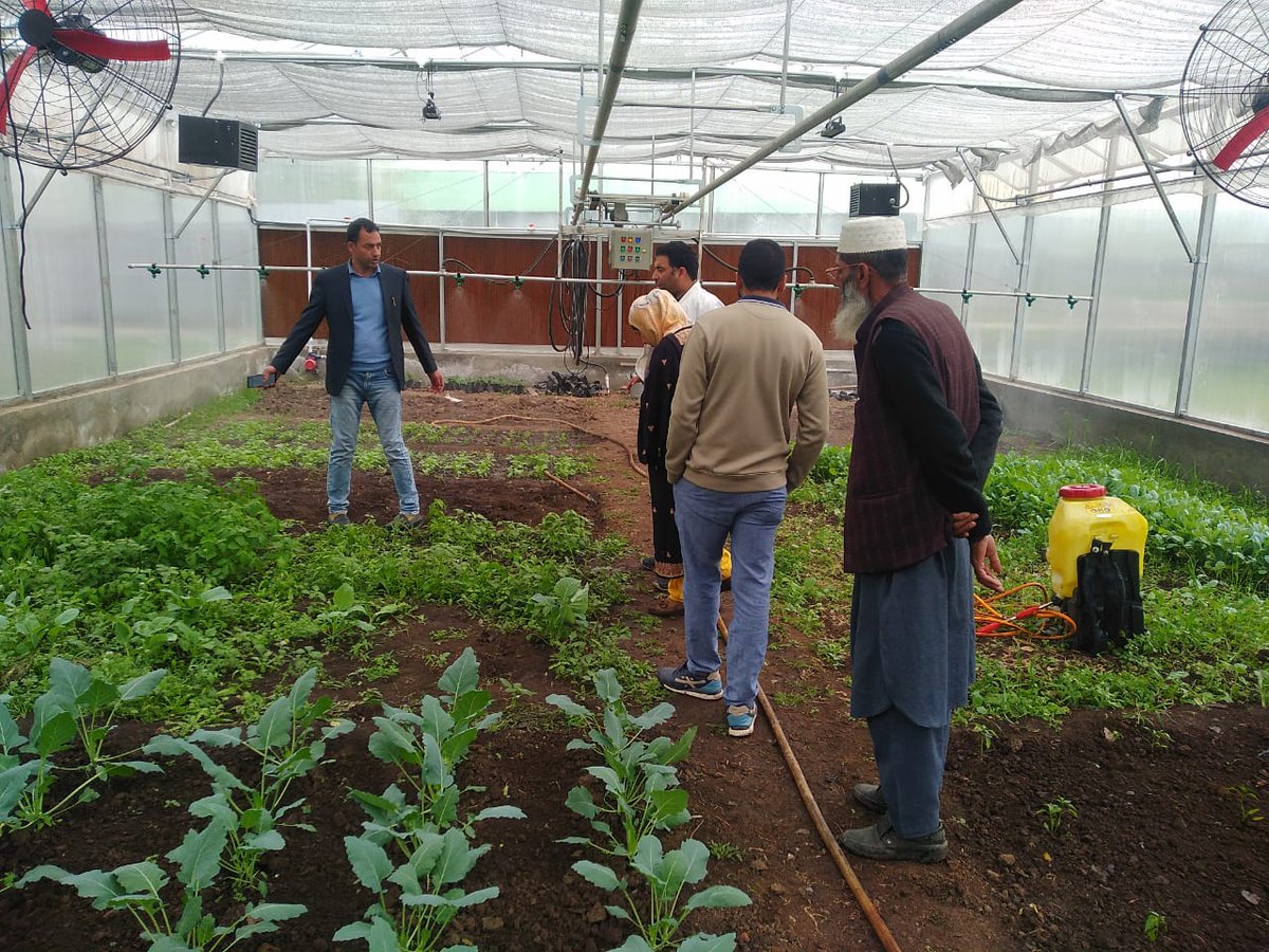 KVK Shopian (@kvkshopian) on Twitter photo DDC members visited KVK Shopian’s Hi-Tech Polyhouse to explore advanced farming practices! Supporting sustainable agriculture at the grassroots. #KVK #DDCVisit #AgriTech
<a href="/DistrictShopian/">District Shopian</a>
<a href="/AgriGoI/">Agriculture INDIA</a>
<a href="/ICARKVKBARAMULA/">ICAR KVK BARAMULLA</a>
<a href="/ZaffarB20573/">Zaffar Badri</a>
<a href="/Informationspn/">Information & PR, Shopian</a>
<a href="/skuast_kashmir/">SKUAST Kashmir</a>
<a href="/atari1icar/">ICAR-ATARI, Ludhiana</a> DDC members visited KVK Shopian’s Hi-Tech Polyhouse to explore advanced farming practices! Supporting sustainable agriculture at the grassroots. #KVK #DDCVisit #AgriTech
<a href="/DistrictShopian/">District Shopian</a>
<a href="/AgriGoI/">Agriculture INDIA</a>
<a href="/ICARKVKBARAMULA/">ICAR KVK BARAMULLA</a>
<a href="/ZaffarB20573/">Zaffar Badri</a>
<a href="/Informationspn/">Information & PR, Shopian</a>
<a href="/skuast_kashmir/">SKUAST Kashmir</a>
<a href="/atari1icar/">ICAR-ATARI, Ludhiana</a>