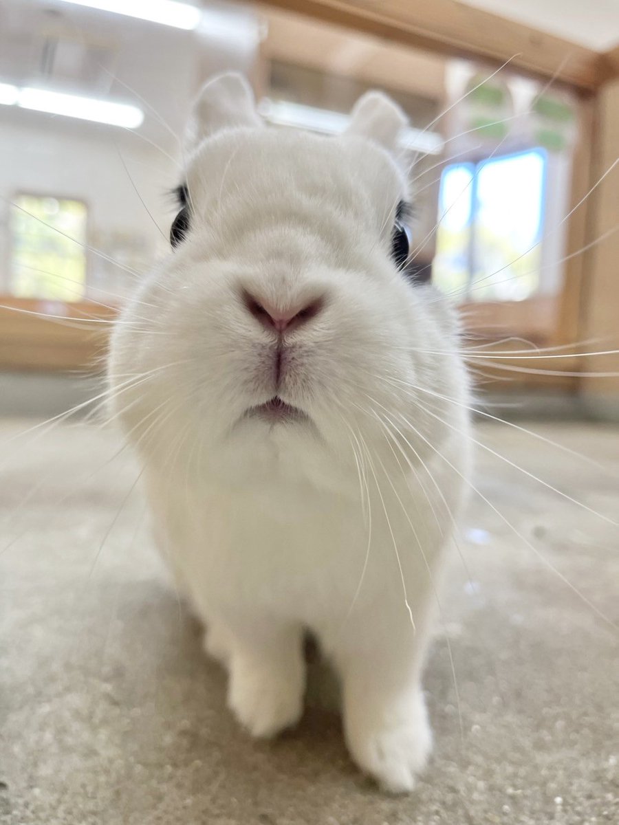 GW期間中たくさんの方にご来園いただきありがとうございました